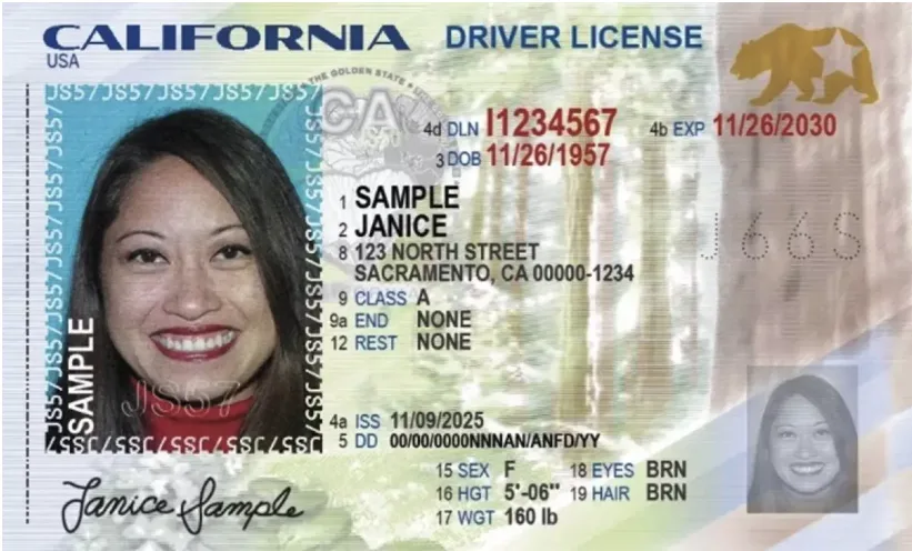 2025 California drivers license template update